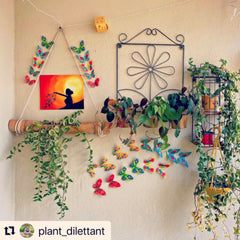 Paper Butterflies for Wall Decoration: Set of 24