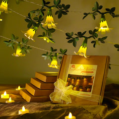 Festive Combo Saver Pack of 5 White Paper Flower Fairy Lights