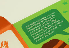 Mini Red Panda DIY Animal Paper Craft Kit