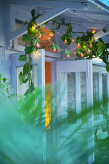 Festive Combo Saver Pack of 5 Pink Paper Flower Fairy Lights