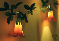 Pink Paper Flower Fairy Lights (12 flowers)
