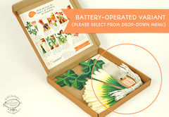 White Paper Flower Fairy Lights (12 flowers)