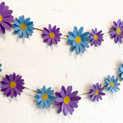 Blue and Purple Daisy without Leaves