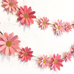 Pink Daisy without Leaves