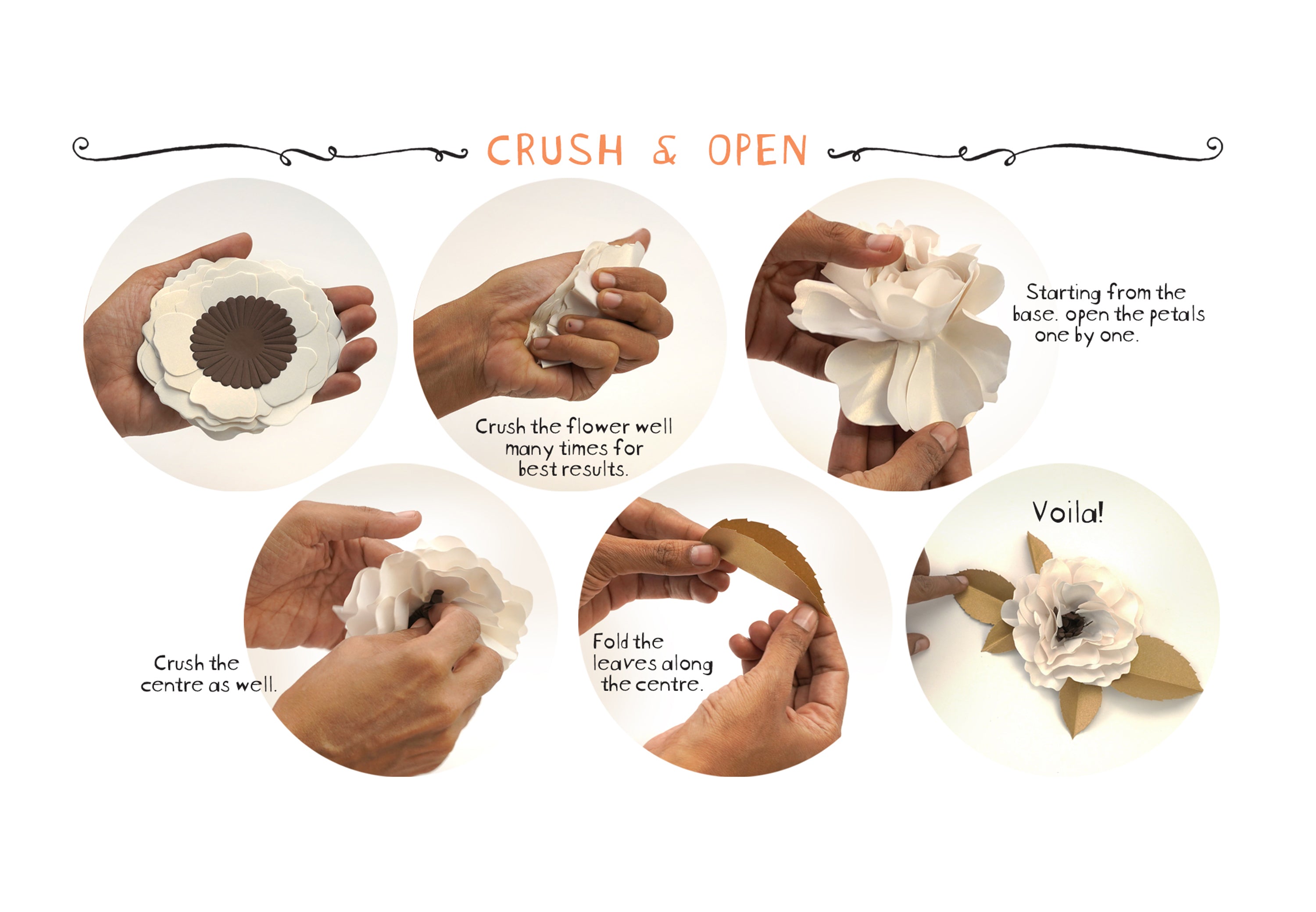 Set of 10 Pearl White 'Crush & Use' Paper Wild Roses