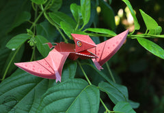 Mini Pterosaur DIY Dinosaur Paper Craft Kit