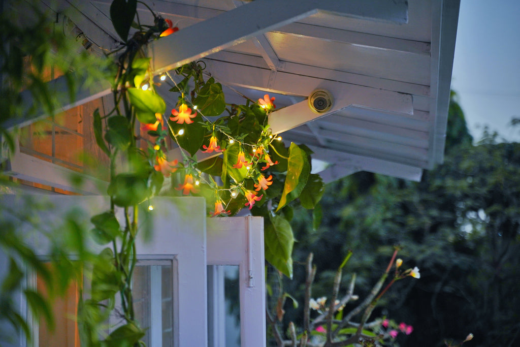 Pink Paper Flower Fairy Lights (12 flowers)