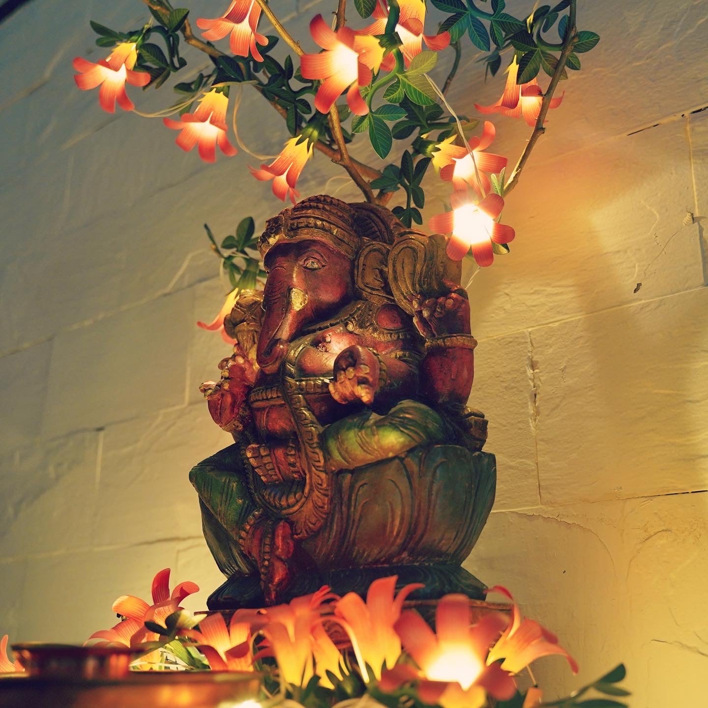 Pink Paper Flower Fairy Lights (12 flowers)