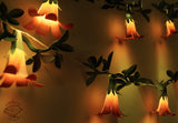 Festive Combo Saver Pack of 5 Pink Paper Flower Fairy Lights