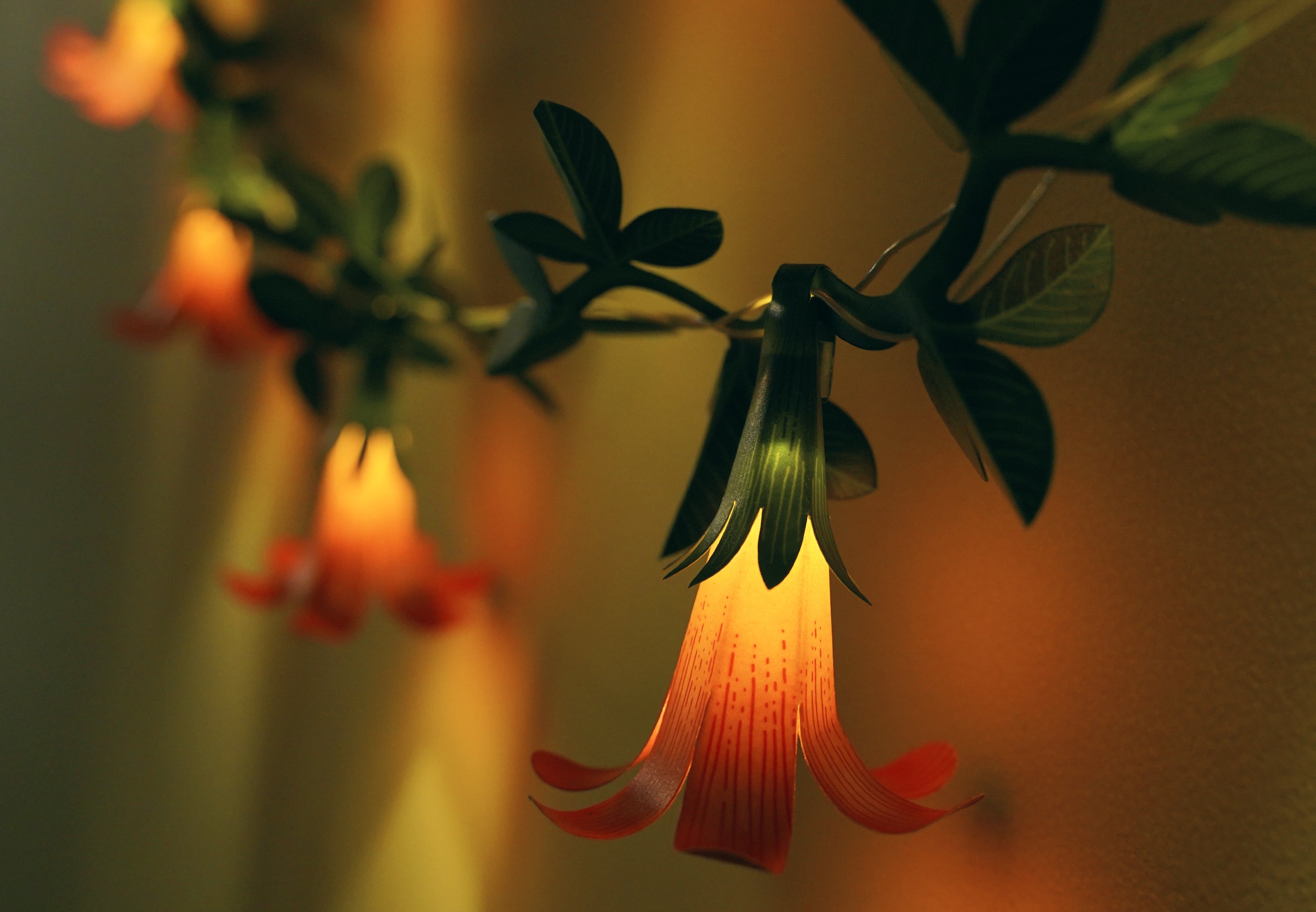 Festive Combo Saver Pack of 5 Pink Paper Flower Fairy Lights
