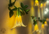 Festive Combo Saver Pack of 5 White Paper Flower Fairy Lights