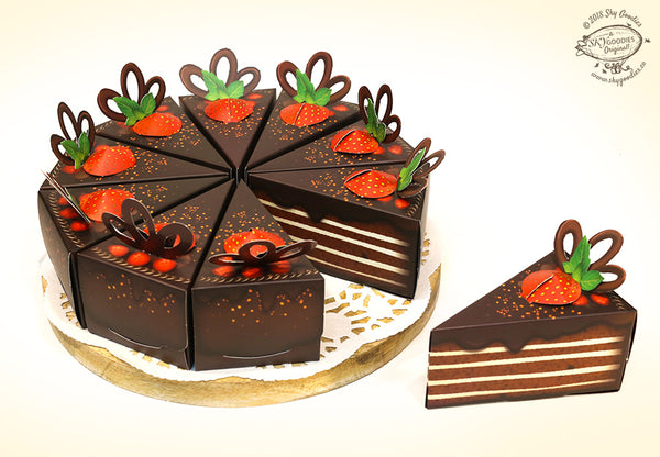 Set of 10 Chocolate Cake Gift Boxes